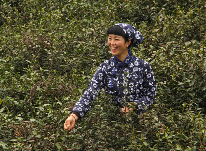 百丽推荐6